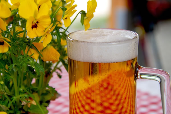 Share a nice cold beer for Oktoberfest in Darwin